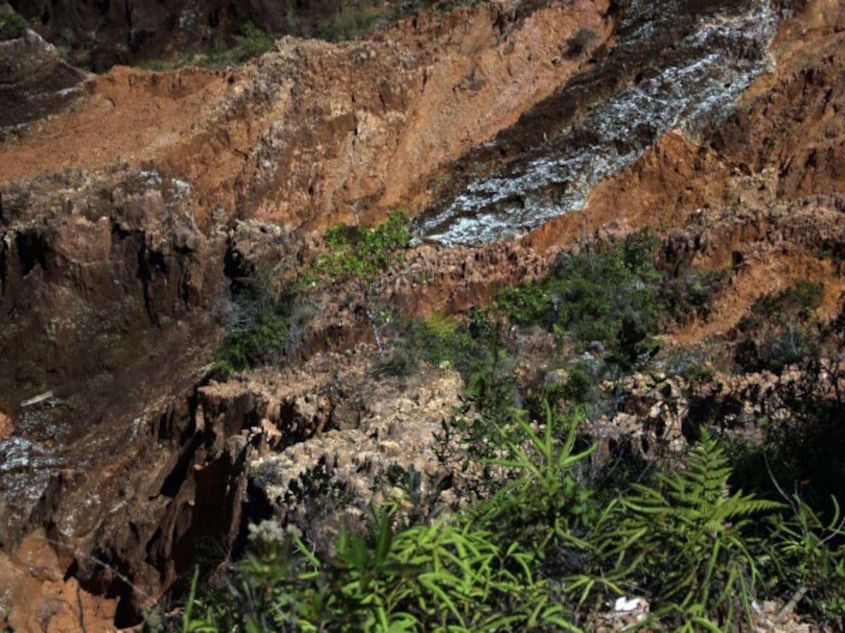 Corte Constitucional tumbó minería en los páramos
