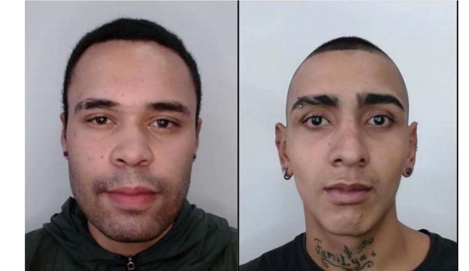 Foto: Medicina Legal.