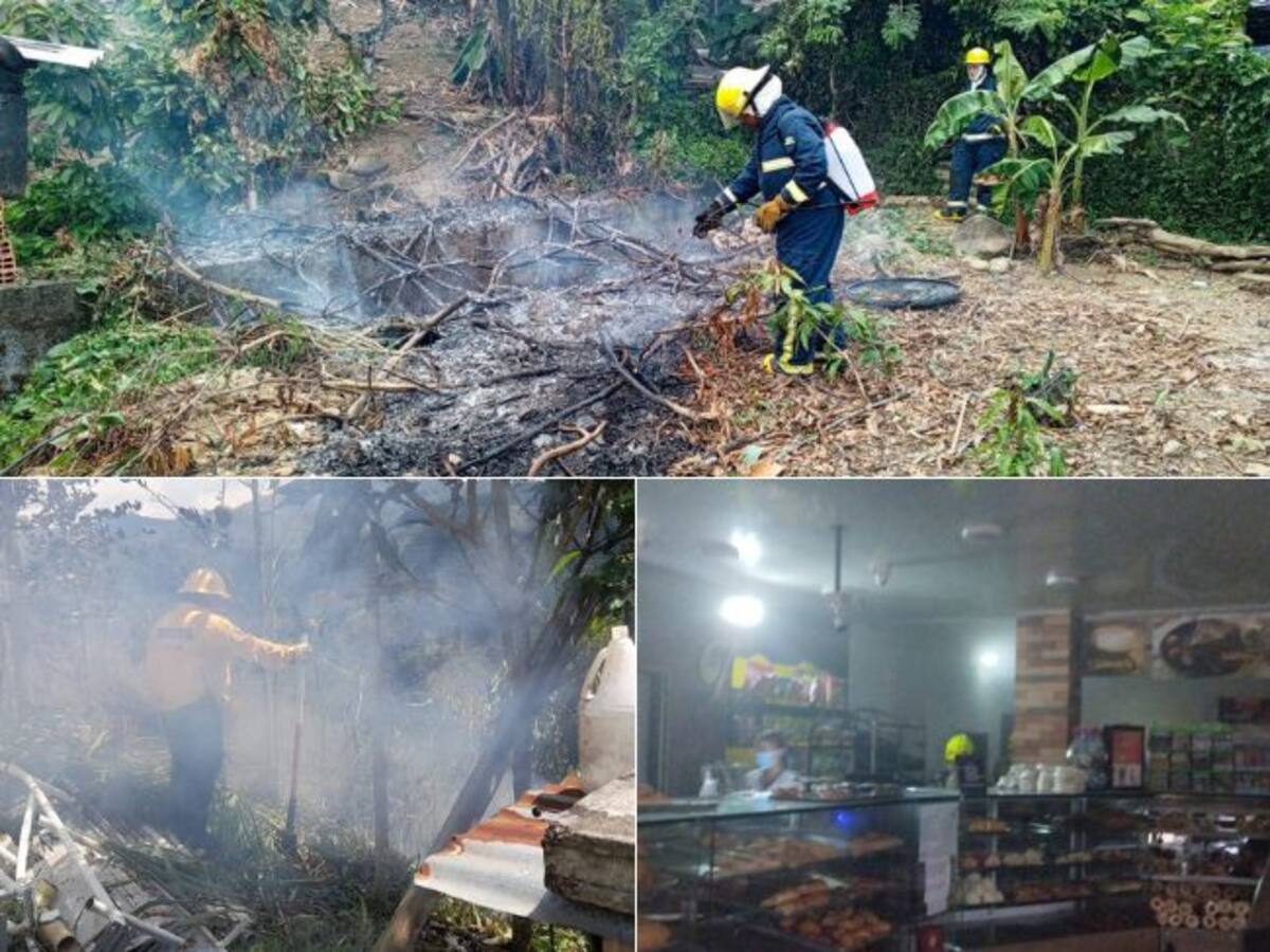 Tres incendios forestales consumieron varias hectáreas y amenazaron varias viviendas en Caldas
