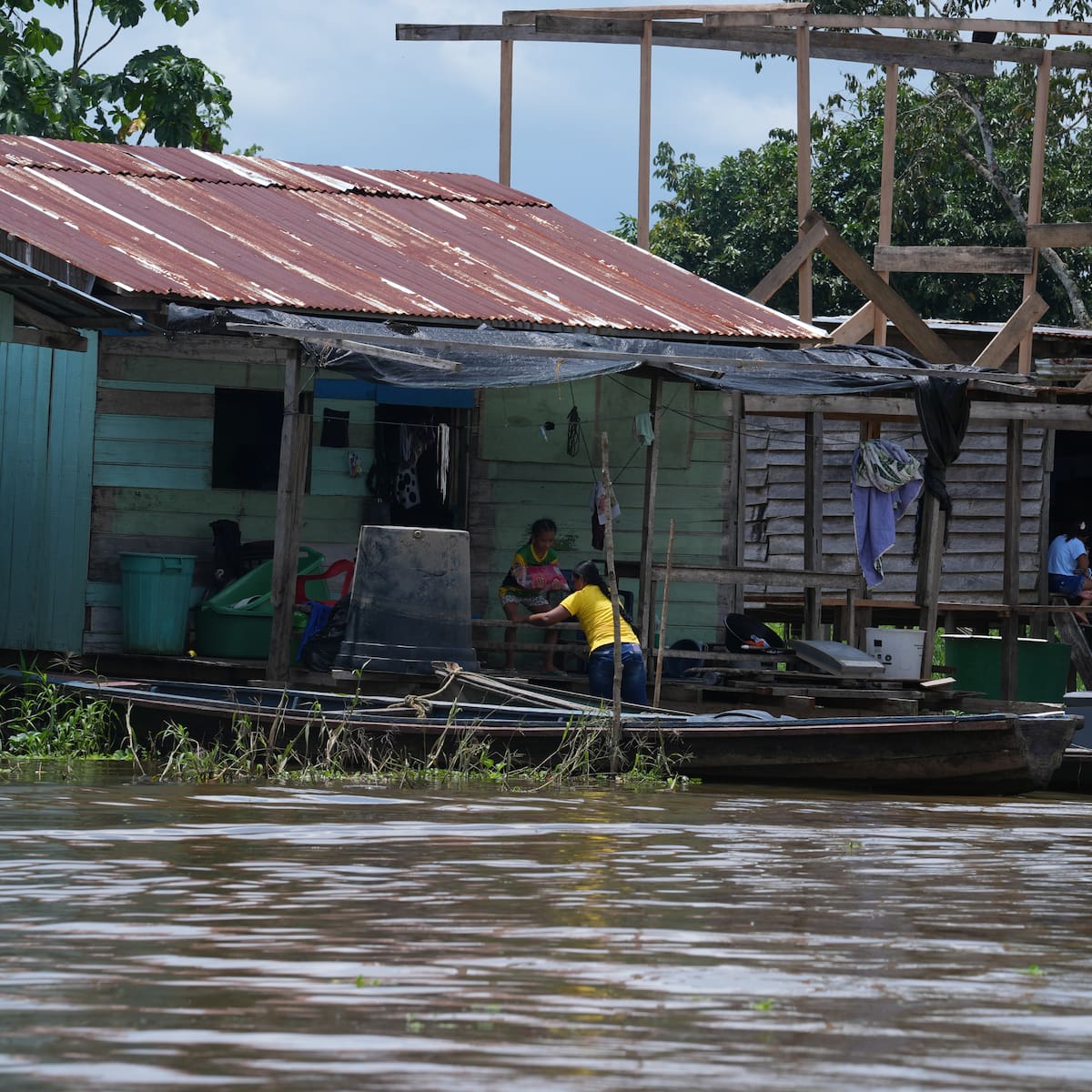 Economías ilegales, deforestación Y control territorial: la compleja realidad de la Amazonia
