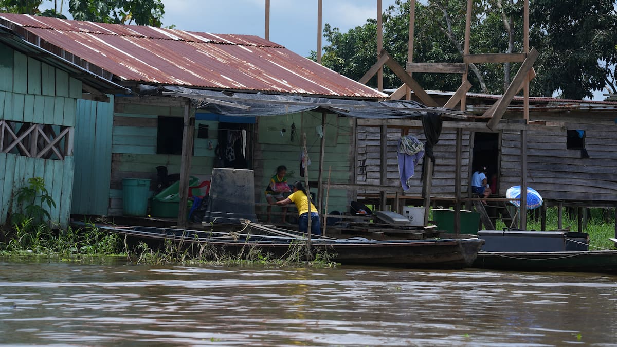 Economías ilegales, deforestación Y control territorial: la compleja realidad de la Amazonia