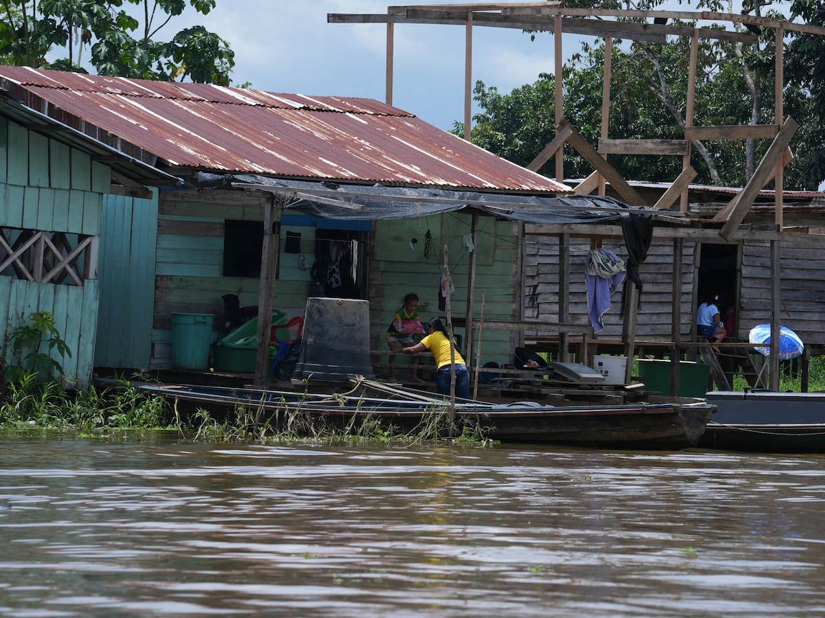 Economías ilegales, deforestación Y control territorial: la compleja realidad de la Amazonia