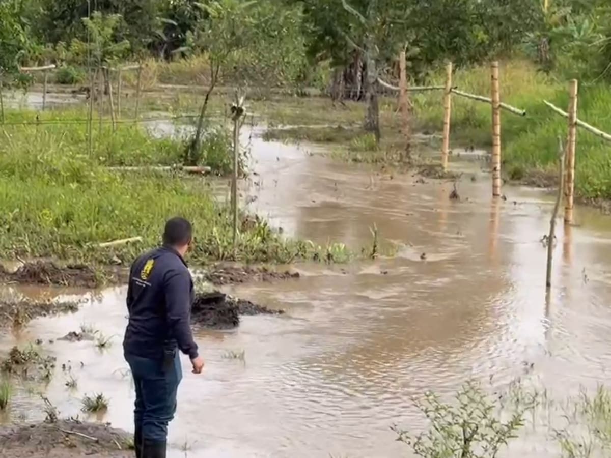 Al menos 25 predios estarían afectados por lluvias en zona rural de Jamundí