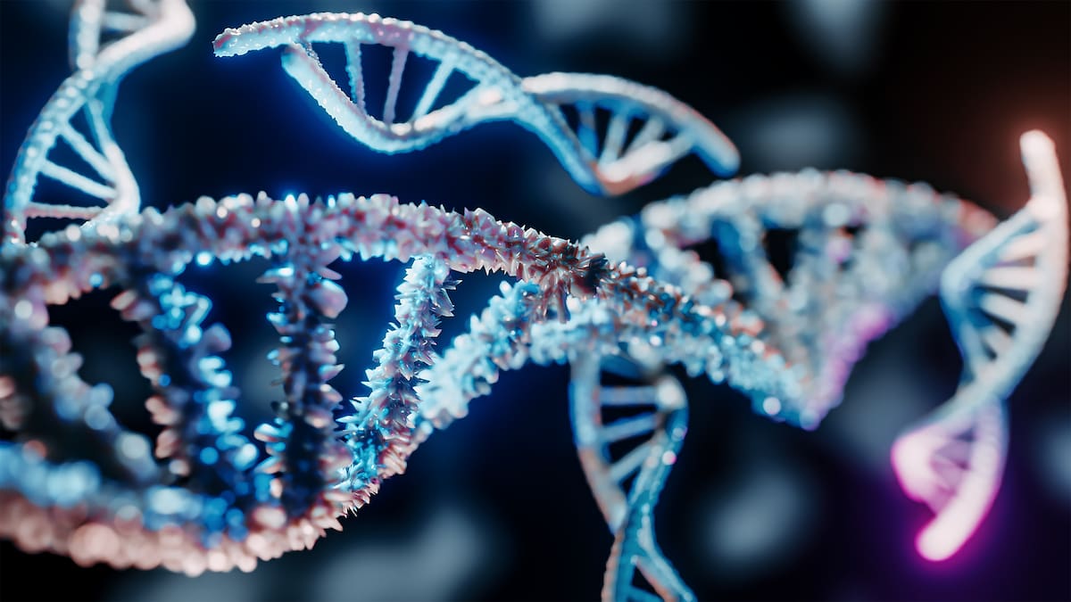 ¿Es posible rejuvenecer el sistema inmunológico? Esto dicen los expertos