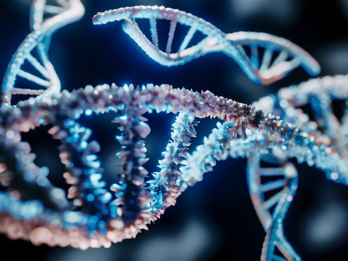 ¿Es posible rejuvenecer el sistema inmunológico? Esto dicen los expertos
