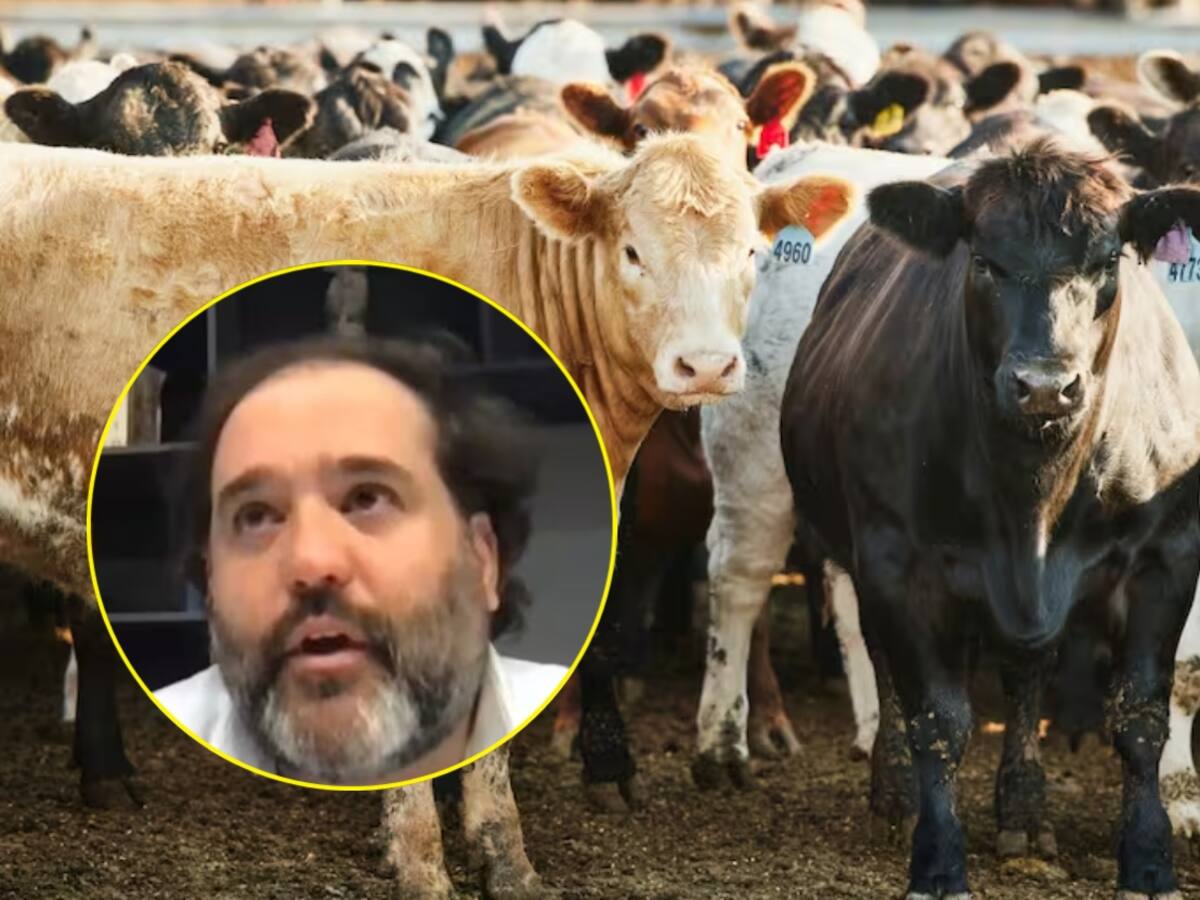 Con la finca de la mamá de Felipe Rocha pagarán a afectados de pirámide ganadera: Supersociedades