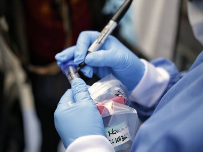 Personal de salud de Ibagué