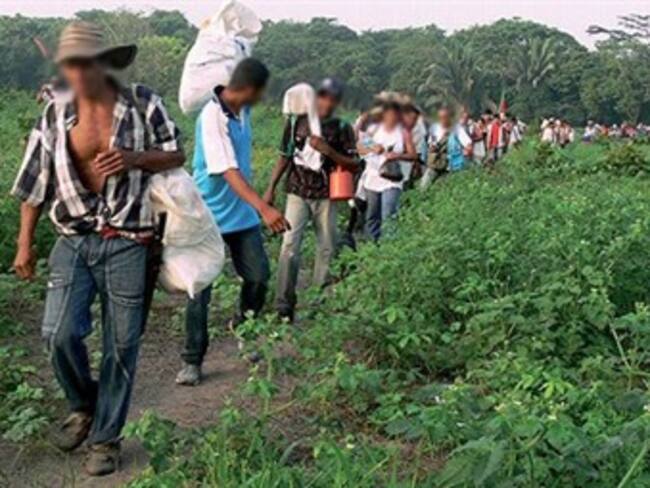 Incoder devolverá a campesinos desplazados 2.661 hectáreas de tierras de la finca Las Pavas