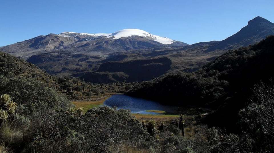 Fotografía: Parque Nacional Natural de los Nevados.