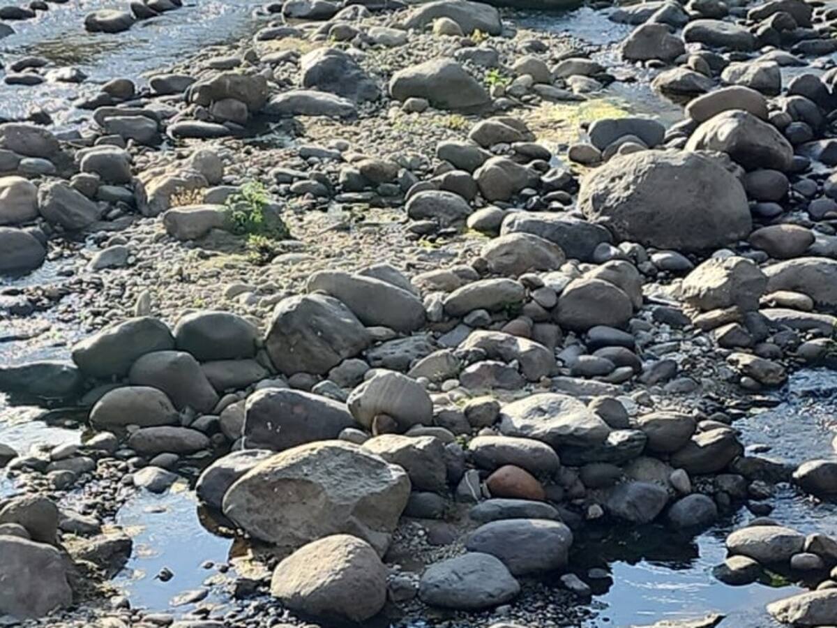Autoridad ambiental reportó leve recuperación del caudal del río Quindío