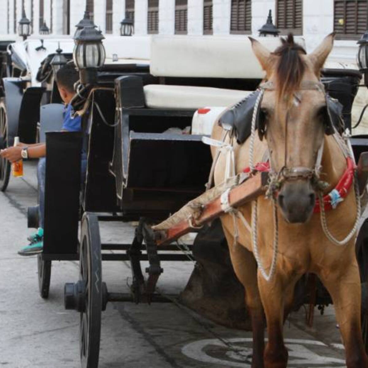 “Ni la Asociación de Cocheros ni yo tenemos culpa: operador implicado en cobro a turista