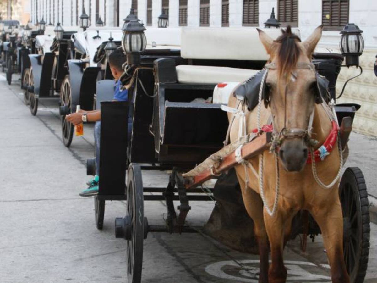 “Ni la Asociación de Cocheros ni yo tenemos culpa: operador implicado en cobro a turista