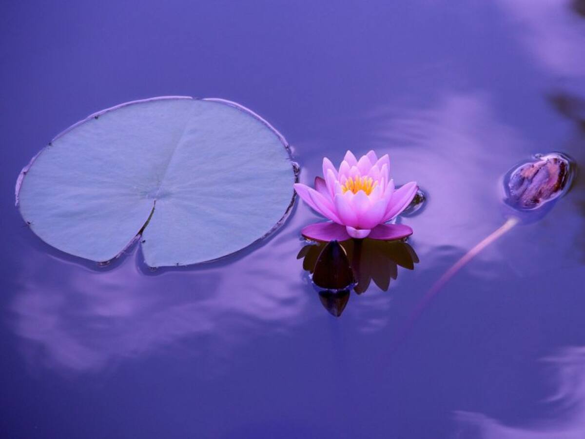 ¿En qué nos ayuda la espiritualidad?