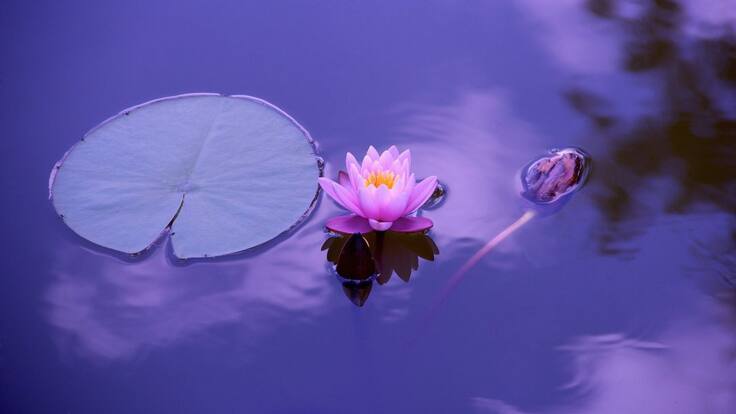 ¿En qué nos ayuda la espiritualidad?