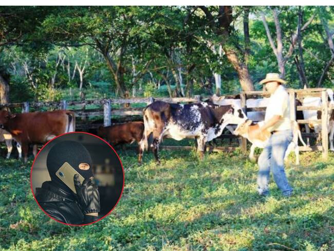 Ganaderos preocupados por ola de inseguridad que afecta al gremio / Foto Archivo