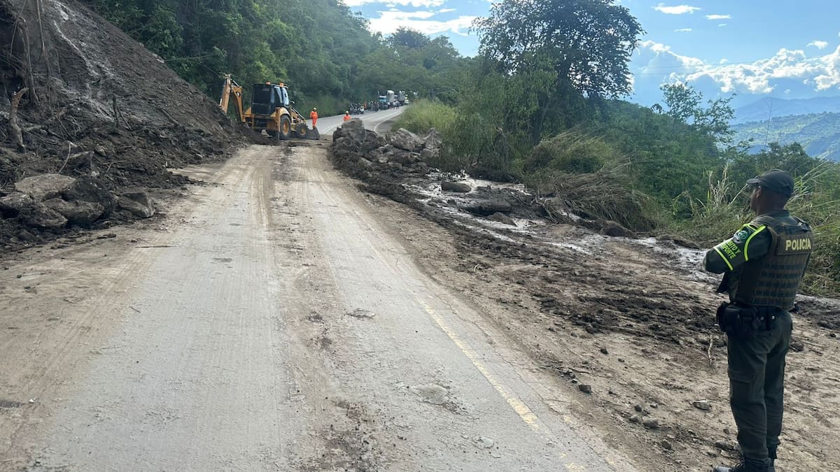 Habilitan a un carril la vía Bucaramanga - Bogotá tras derrumbe de rocas
