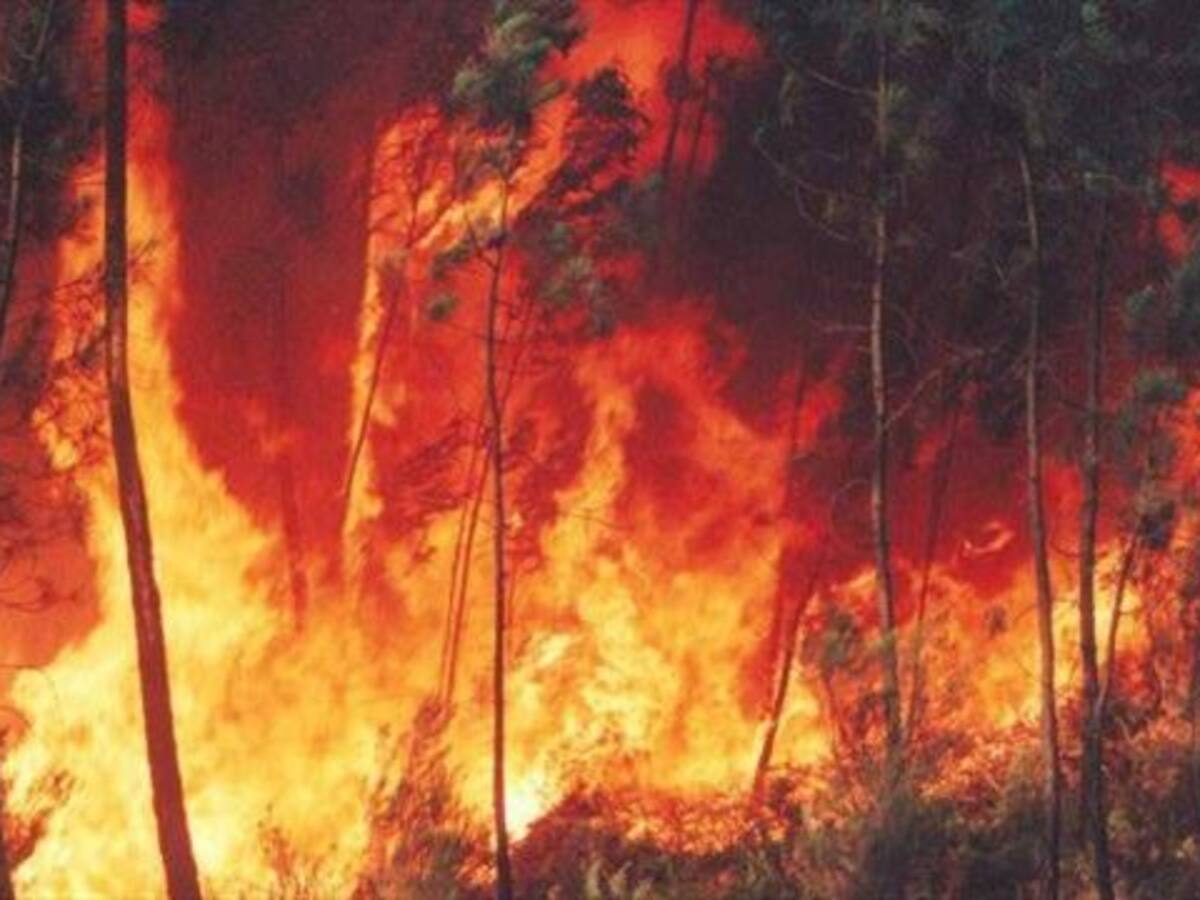 Unidad Nacional de Riesgo trabaja en el control de 10 incendios en el país