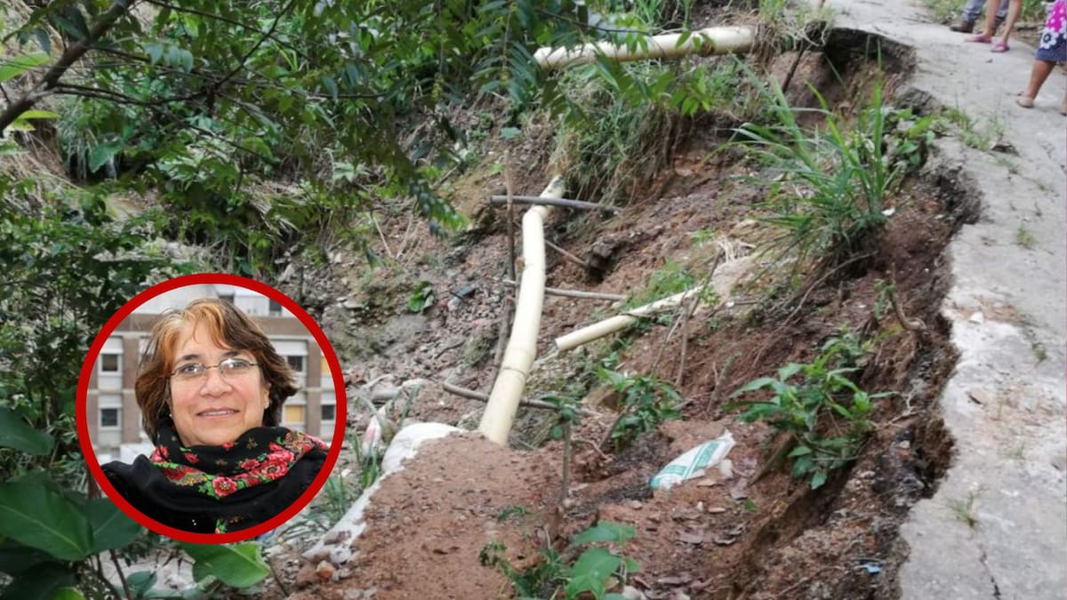 Sociedad de Geología desmiente que fallas geológicas sean consecuencias de las obras