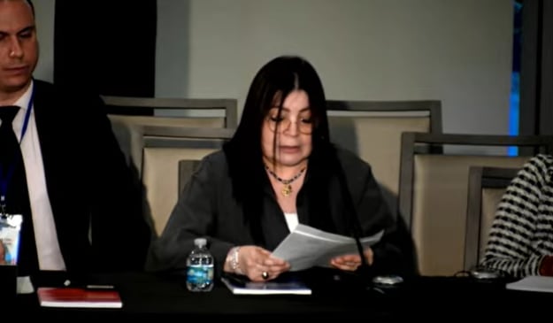 Intervención de  María Eugenia Arazo ante la CIDH