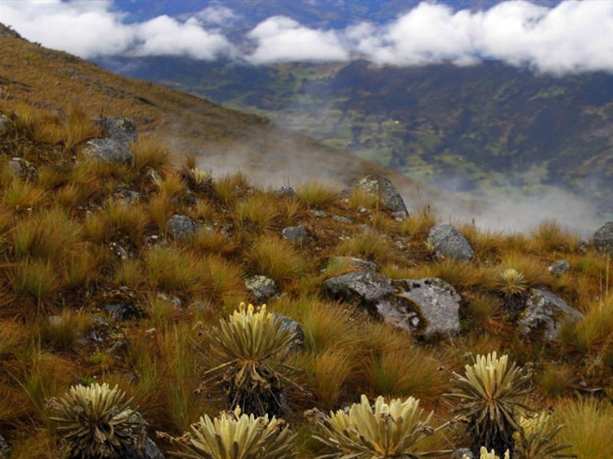 Nuevo pulso por el Páramo del Cocuy: Gobierno convoca mesas tras llamado de la Procuraduría
