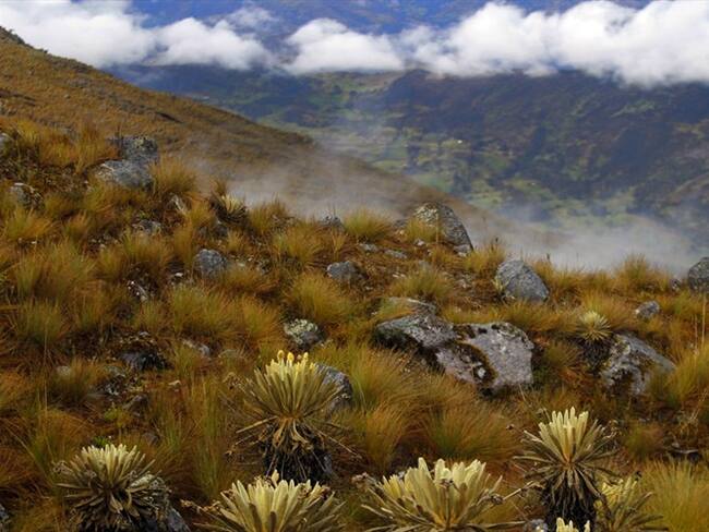 Nevado del Cocuy. Foto: Colprensa.