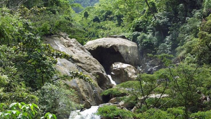 La investigación en las regiones para la conservación