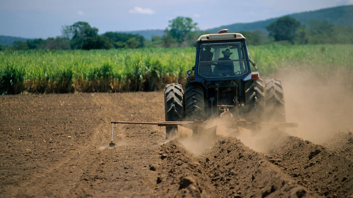 A cuidar los suelos para producir más alimentos, plantea Asohofrucol