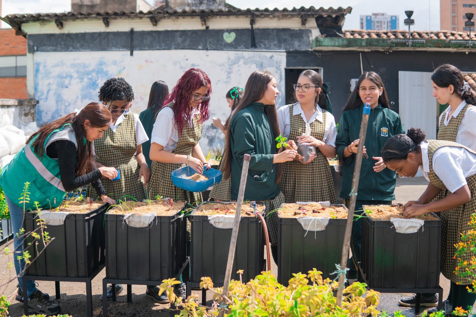 Foto: Alcaldía de Medellín