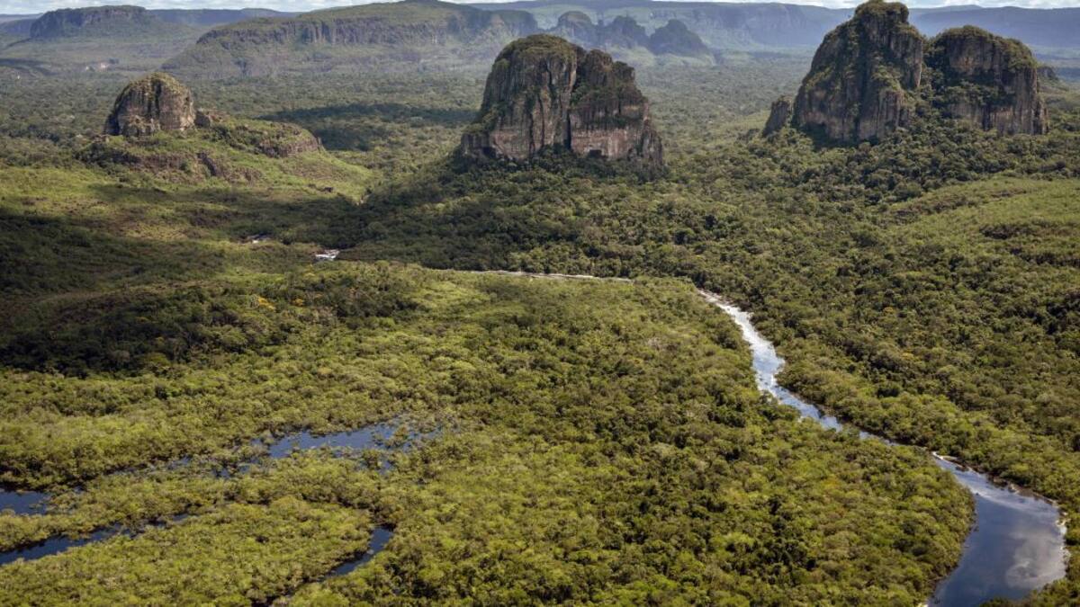 Indignante: una carretera atraviesa el Parque del Chiribiquete, declarado patrimonio de la humanidad