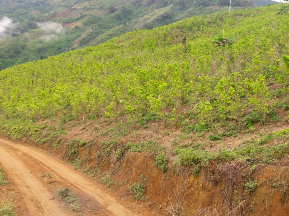 4 policías y 3 erradicadores heridos dejó un ataque en bajo Cauca