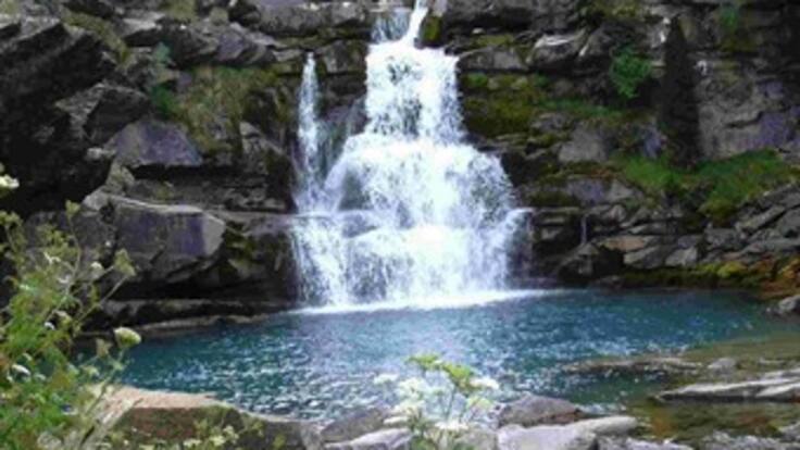 Ley ambiental colombiana requiere cumplimiento por parte de las empresas para la preservación del medio ambiente