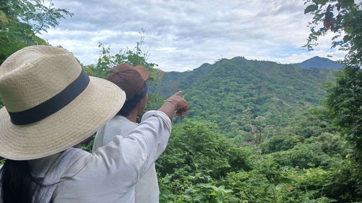 Justicia admite la primera demanda de restitución a favor del pueblo Kogui en Magdalena
