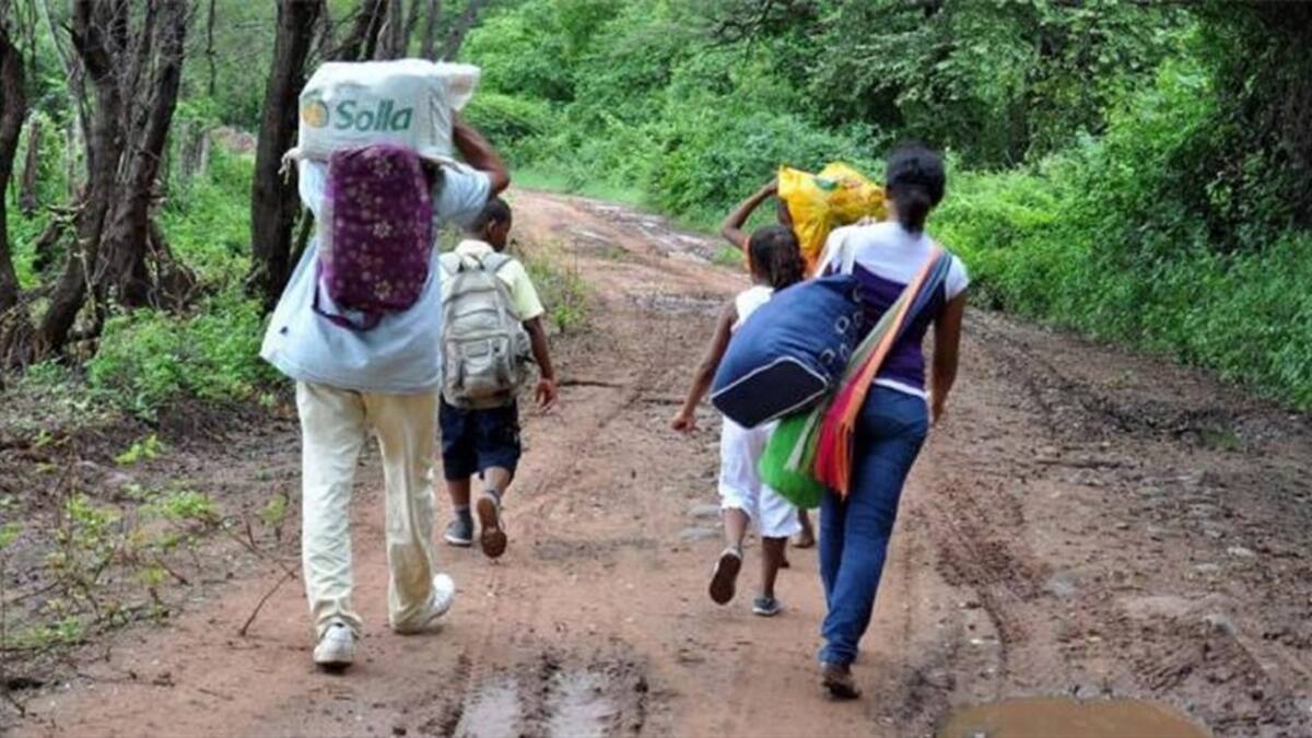 No ha habido un plan regional para controlar la situación en Cauca: presidente de Indepaz