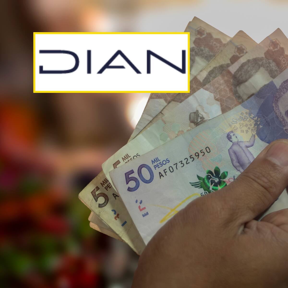 Procuraduría investiga a tres exfuncionarios de la DIAN por posible pérdida de $44mil millones