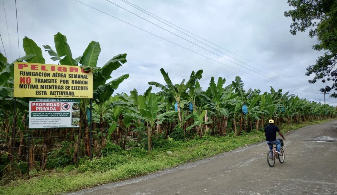 Los motores de la economía de Urabá