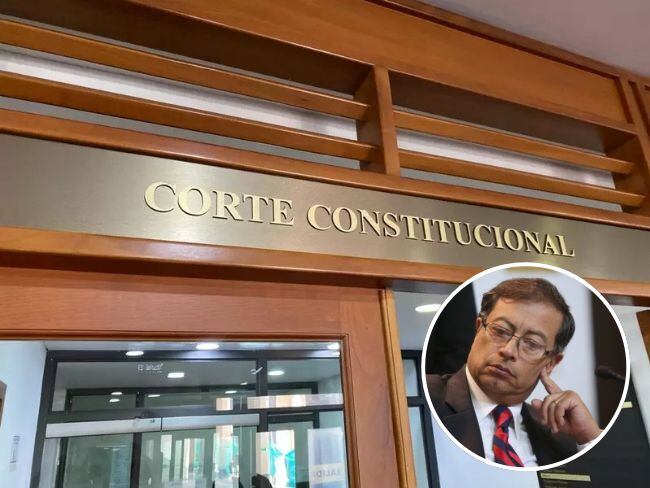 Corte constitucional revisará tutela contra el presidente Petro.