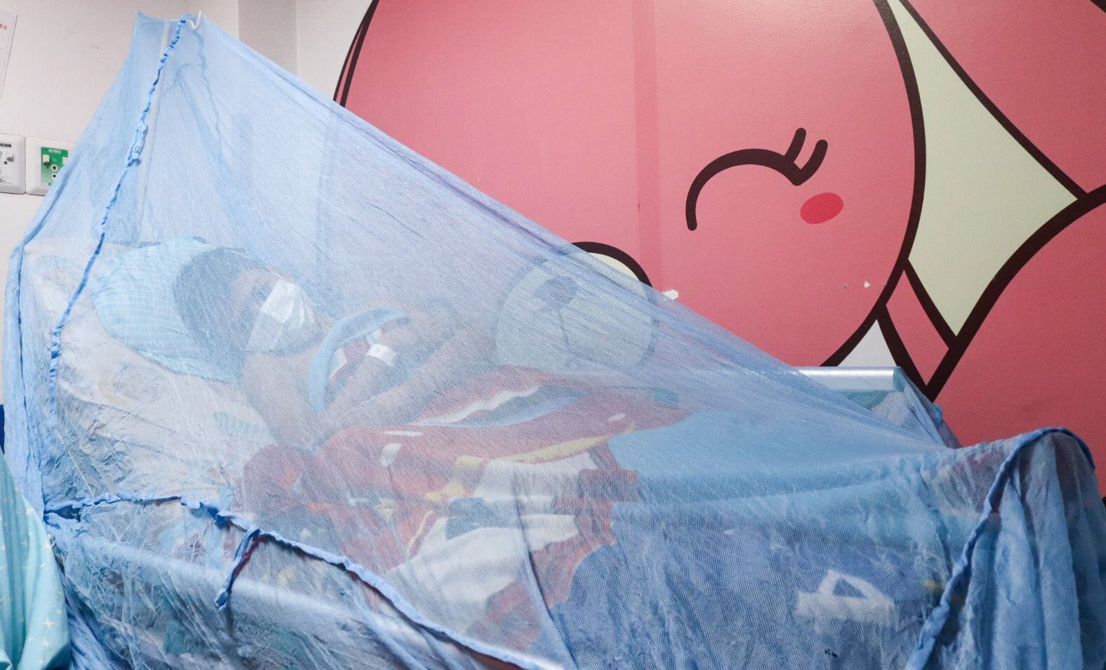 Alerta por el aumento de los casos de dengue en el Tolima.