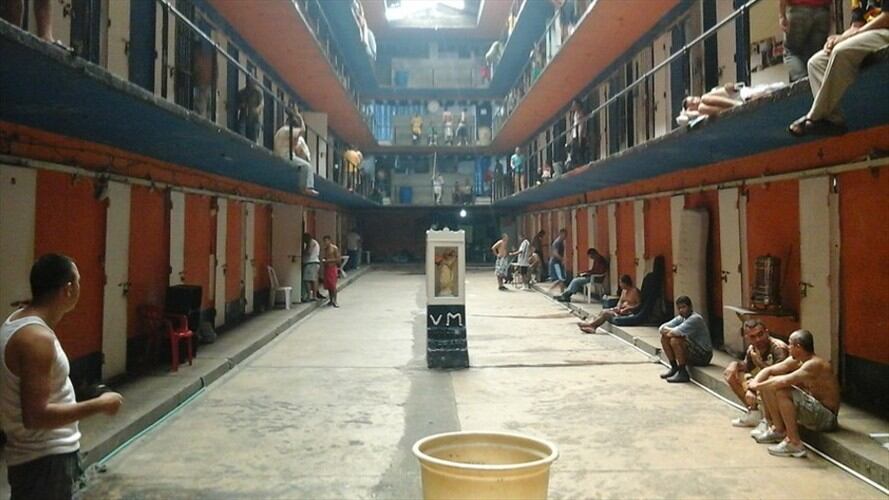 Coiba de Picaleña. Foto: Colprensa