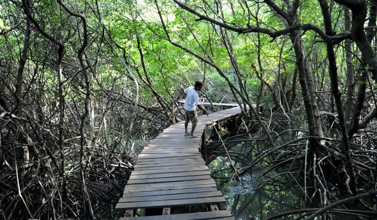 Imagen de referencia 