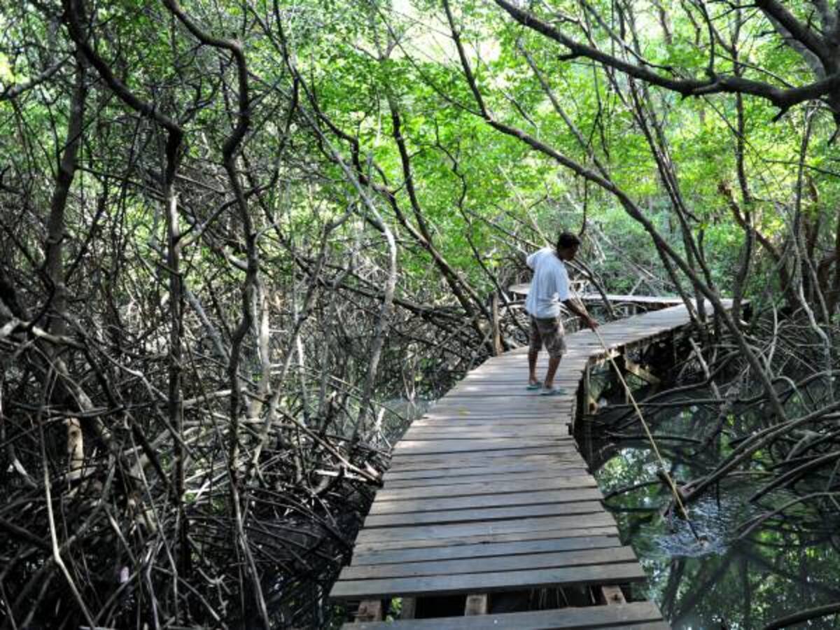 Se ahogó menor de 18 meses en balneario de Tolú, Sucre