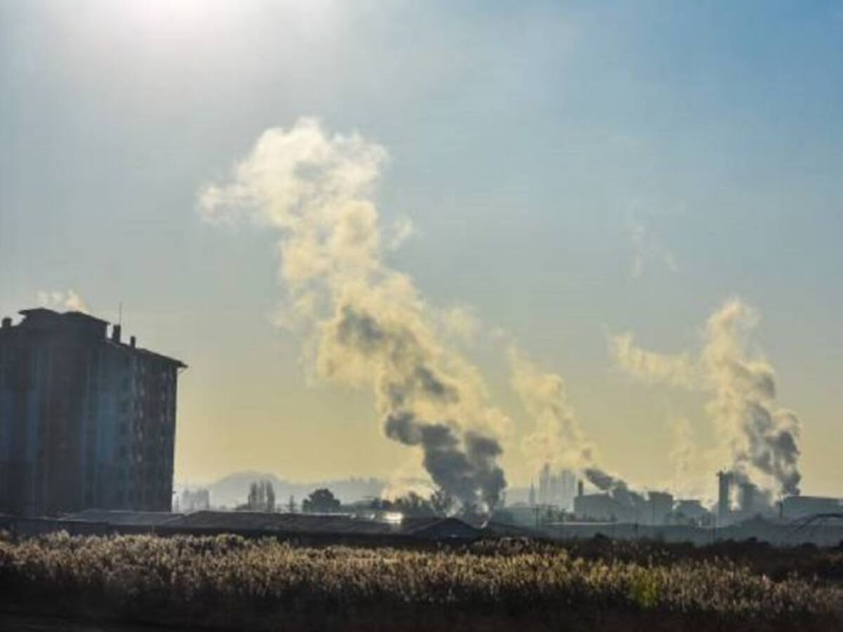 Confinamientos por el COVID-19 no ayudaron al medio ambiente