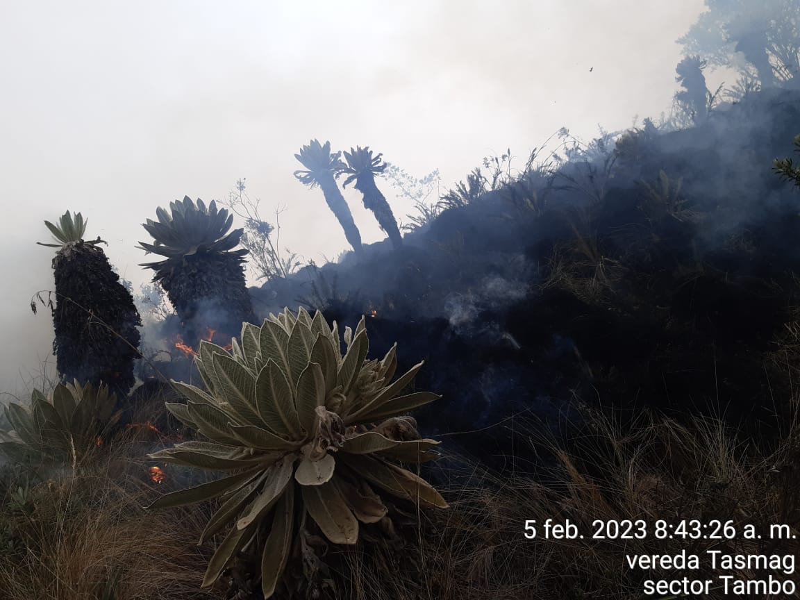 Cuarenta y ocho horas fueron necesarias para contener la conflagración | Foto: Bomberos Cumbal