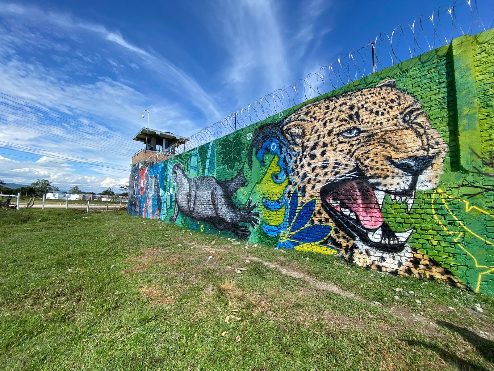 En Pitalito se pinta el mural “La Puerta del Macizo”  el más grande de Colombia