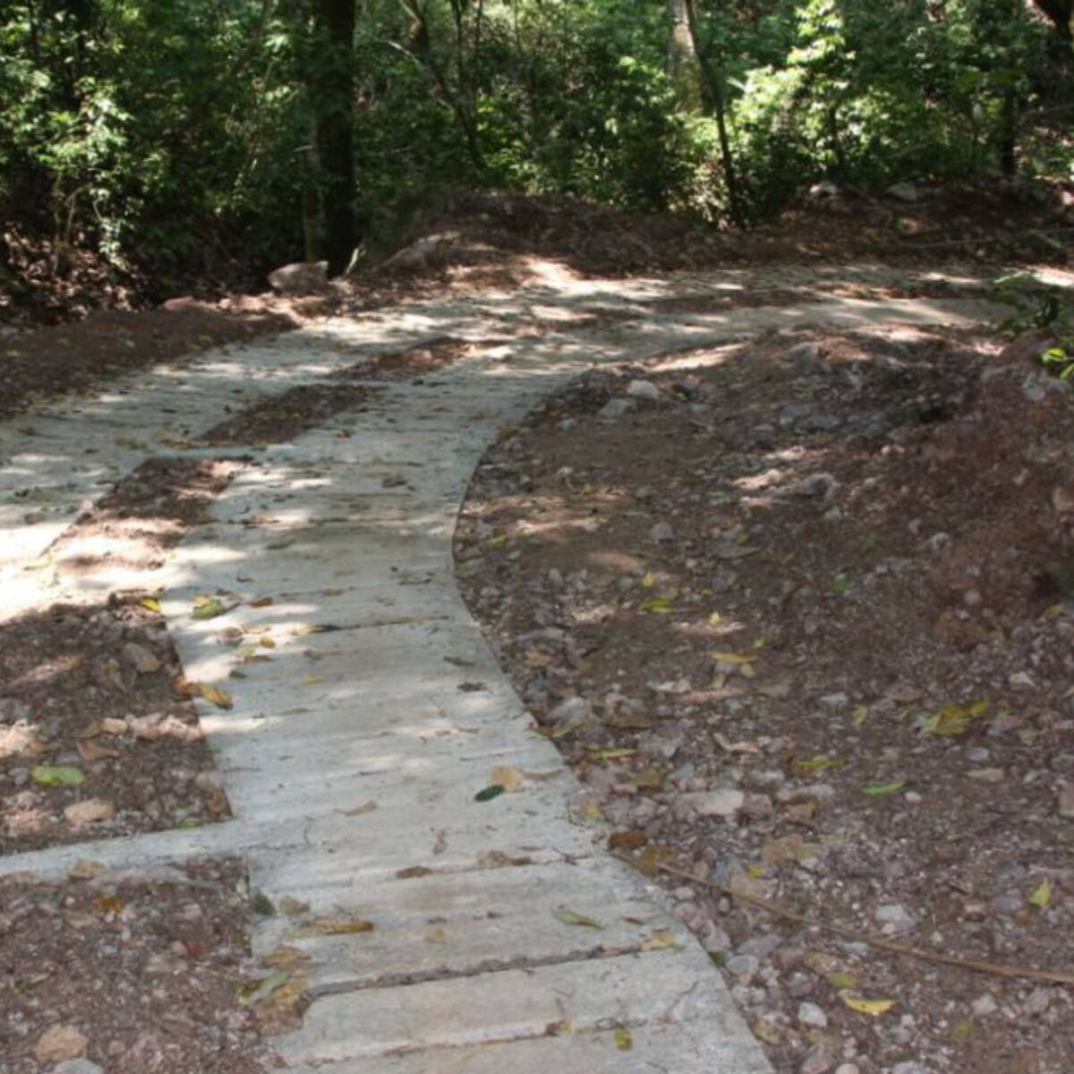 Anuncian construcción de placa huella en zona rural de Ibagué
