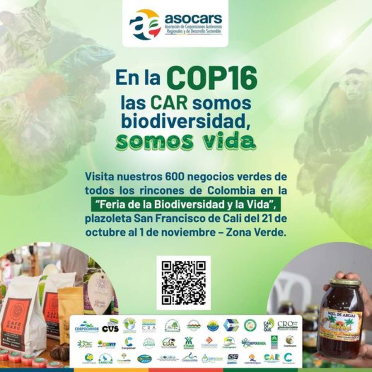 11 Negocios verdes del Quindío participarán en la COP16 en la ciudad de Cali