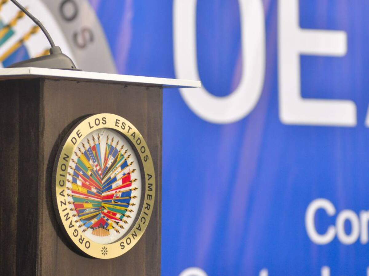 Embajador de Nicaragua ante la OEA denuncia dictadura en su país