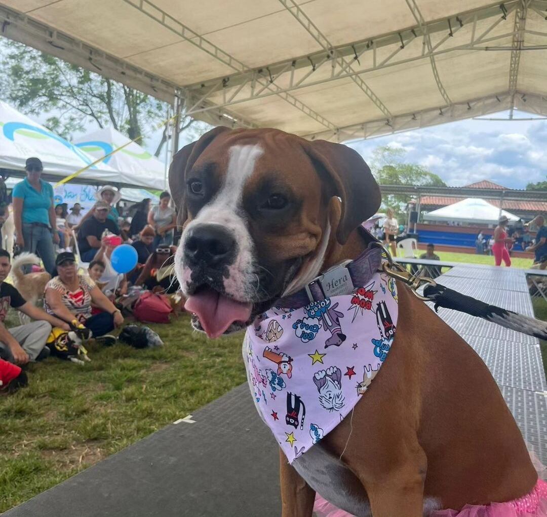 Día mundial de los animales. Foto Cortesía Tropicana Armenia