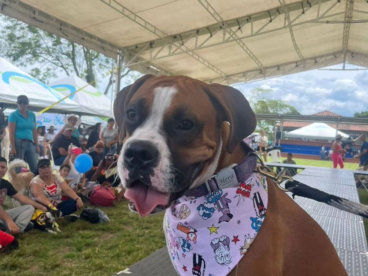 Miércoles 4 de octubre, las noticias más importantes de Armenia y Quindío