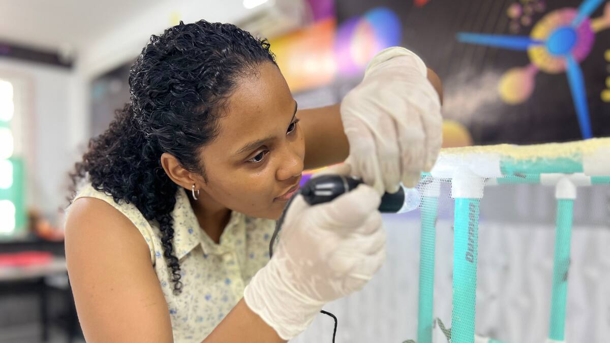 Cartageneros utilizan insectos para acelerar degradación de basuras