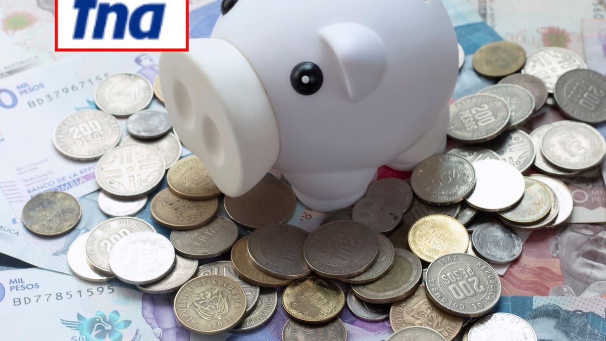 ¿Cómo afiliarse al Ahorro Voluntario del Fondo Nacional del Ahorro? Estos serían los beneficios